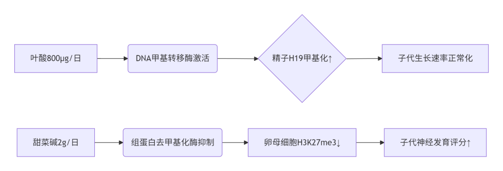 ​​配子表观遗传编程与子代健康干预策略​​-辅助代生