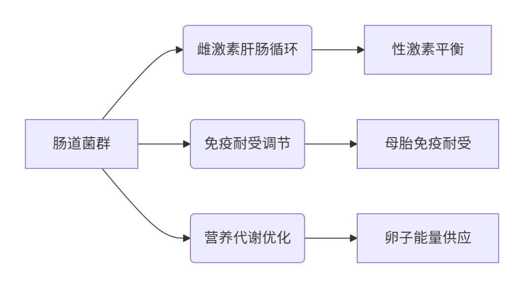 ​​肠道微生态与生育力：菌群调控助孕新策略​​-辅助代生